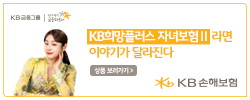KB손해보험